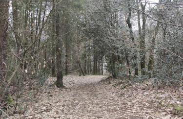 Lodge avec spa au coeur de Brocéliande - Foto 31