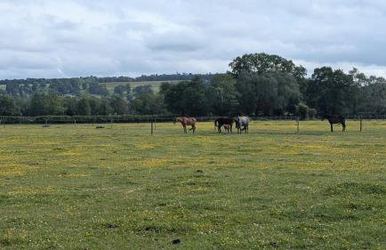 Cosy Coppice Cottage - Foto 18