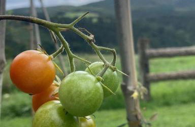 Lekunberri Baserria - Foto 63