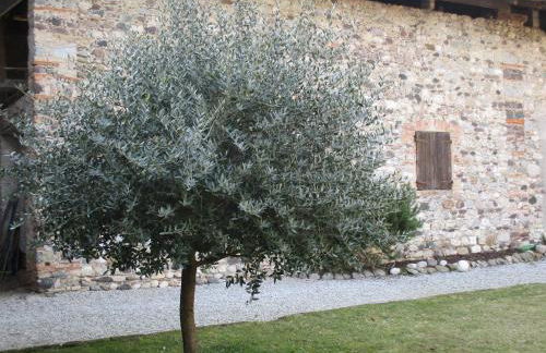 La Corte Di Ottorina - Foto 35