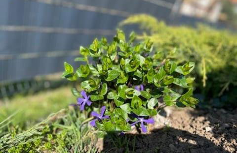 Chata Jakimówka - Foto 25