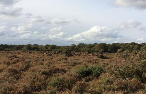 Perfect holiday Home from Home , three bedroom house for 5 guests - Foto 33