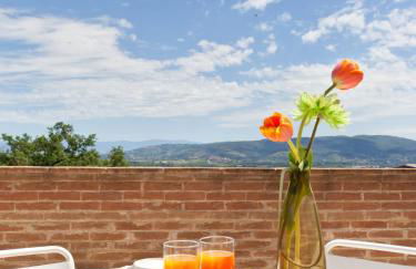 Agriturismo Il Vecchio Mandorlo - Foto 9