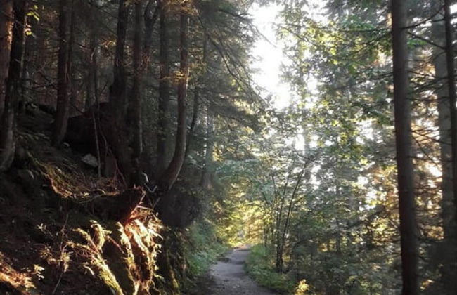 Lovely Apartment in Berchtesgaden - Foto 32