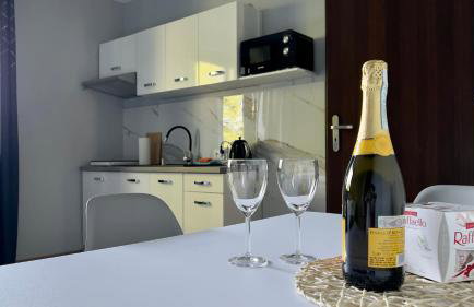 Aparthotel w Dolinie Stawów Zator - Photo 12