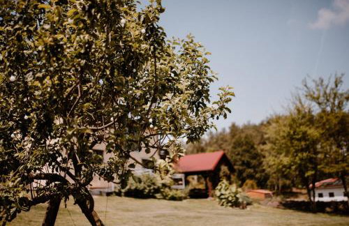 Agroturystyka u Marleny - Foto 53