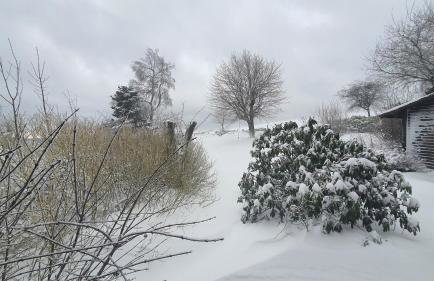 Escape Langewiese Winterberg - Foto 4