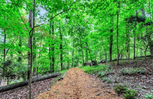 Lakefront, Saltwater Pool, Backyard Oasis, Private Dock, Home Gym - Foto 6