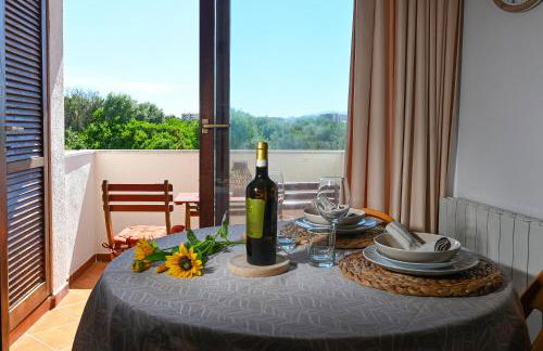 El Bello Verano - Photo 14