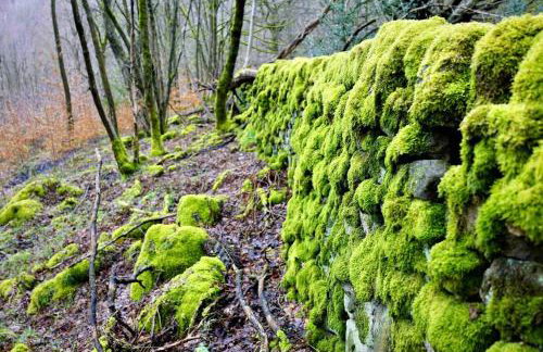 Stunningly stylish cottage. - Foto 31