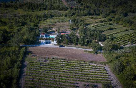 Villa Montecolori - Foto 18