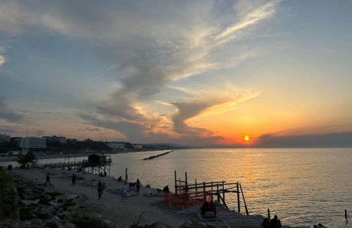 La casa delle farfalle - Foto 48