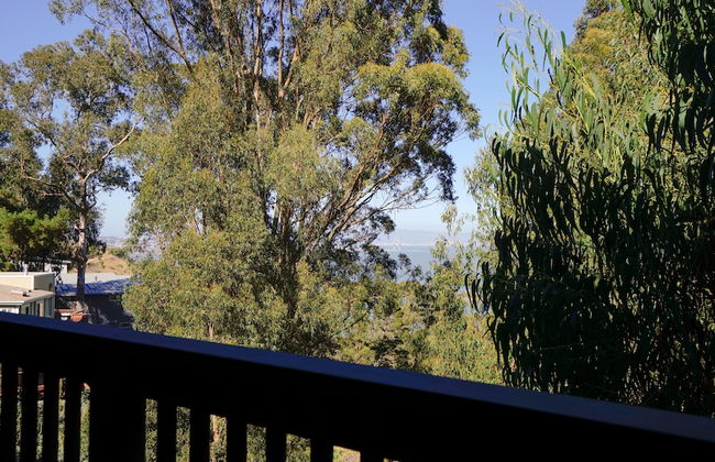 Marbella Lane Eco Friendly Treehouse SFO - Foto 15