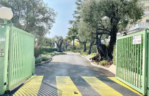 Elia-parking-jardin-piscine-climatisation - Foto 32