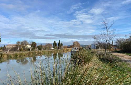T3 bis bord du canal du midi piscine - Photo 4
