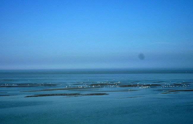 Holiday Home in Cayeux-sur-mer Near Bay of Somme - Photo 16