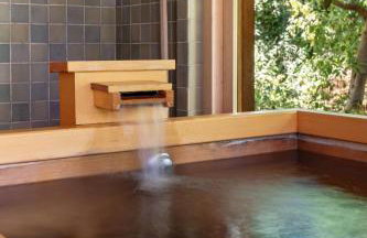 10 Acre Estate with Views Teahouse and Pickleball Court - Foto 48