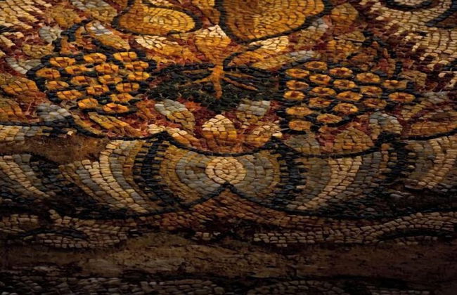 Domaine de Saint-Orens​ - Photo 46