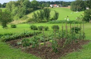 Forsthaus in Waldhessen - Foto 69