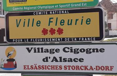 Idéal séjour Alsace ! proche Colmar et sur la route des Vins, Gîte de la Liberté - Foto 18