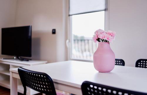 Domki Nad Stawami Apartament - Foto 8