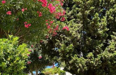 Casa Oliveira - Algarve - Foto 29