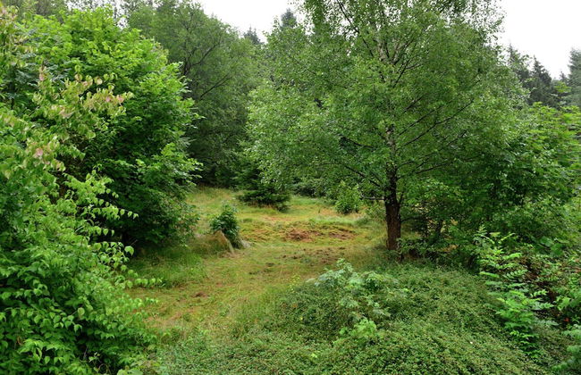 Spacious Apartment in Rattlar With Private Terrace - Photo 42