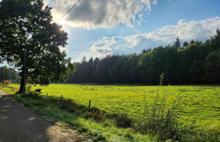 Ferienwohnung FeWo Plaggenburg- die Kleine große - Foto 37
