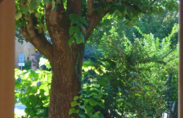 B&B Marana 14 Casa di Campagna - Foto 63