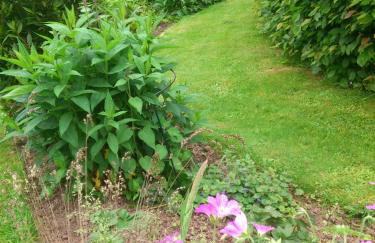 The Steppes Holiday Cottages - Foto 21