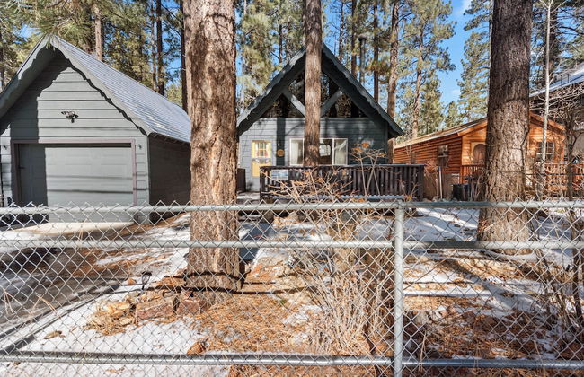 Bearadise - Photo 17