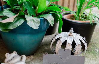 Stadthaus im Altstadtkern mit Blick auf Dingolfinger Münster - Foto 11