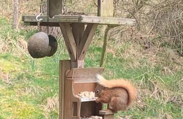 Wester Curr Cottage - Luxury 5-Star Cottage with Private Pool & Hot Tub - Foto 63