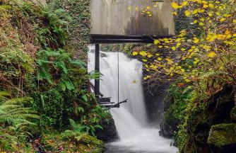 Gamioa-ttiki - Foto 36