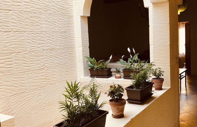 Narcisa Farmhouse B&B - Foto 43