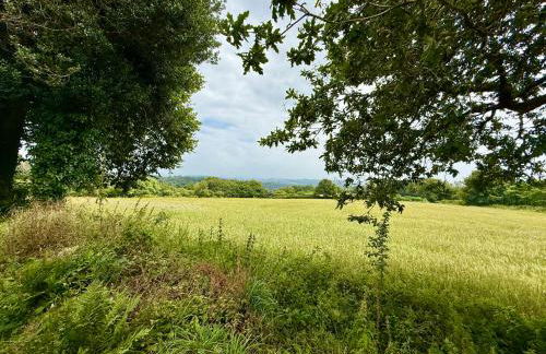 Meadow Vista - Photo 21