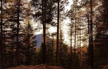 The Ridge At Glacier - Luxury Cabins - Photo 40