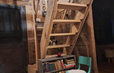 Kuća za odmor uz rijeku Utinju - Foto 12