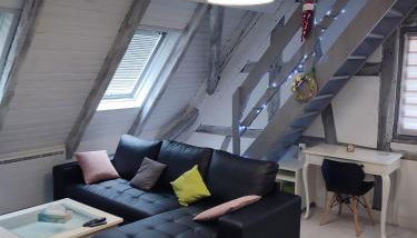 duplex aux portes de Strasbourg tram 100m - Foto 5