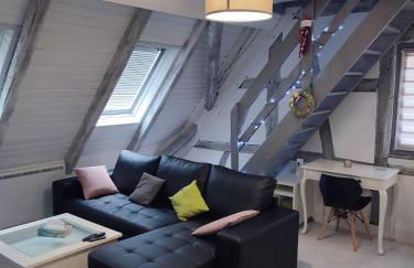 duplex aux portes de Strasbourg tram 100m - Foto 5