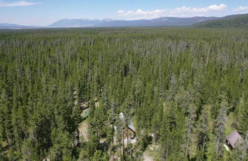 Hooter Hollow by KABINO Fire Pit Big Driveway SmartTV Grill WiFi - Foto 37