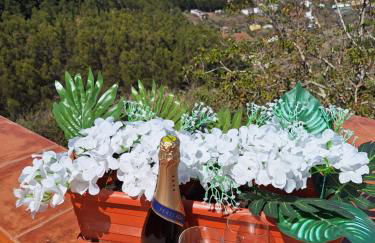 Finca Esther - Foto 9