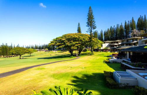 Kapalua Golf Villas 2 Free cars KBM Resorts Large Bedrooms 2 Units 3 Bedrooms ML-2189 - Foto 80