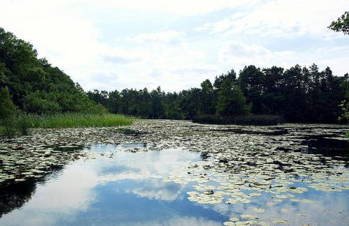 Domek Letniskowy Grażyna - Foto 49
