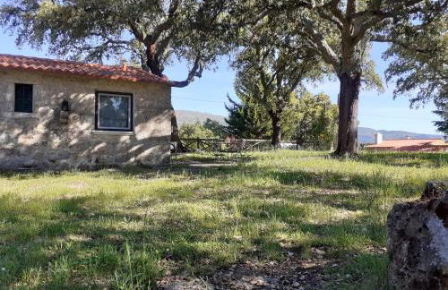 Casa da Vinha - Foto 31