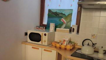 Bernina Express Apartment Il cuore di Lara e Stefy - Foto 4, stove