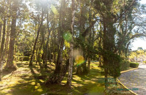 Suíte Mountain Village - Foto 43