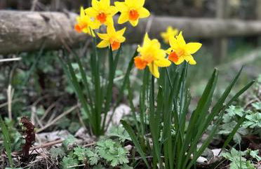 Dukes Well - Photo 17