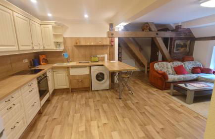 Apartment 5 Zum Kuhstall Heinrichsberg - Magdeburg - Foto 1