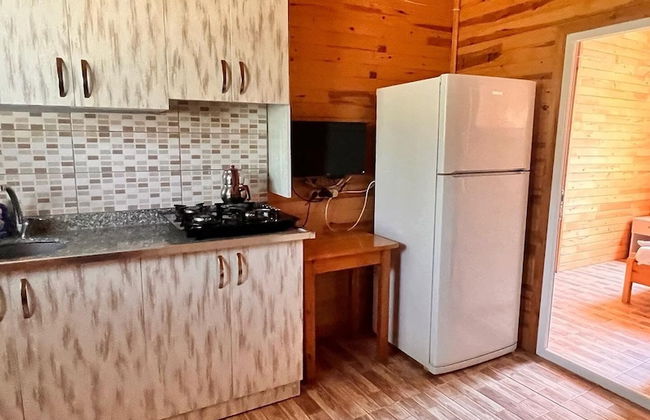 Adrasan Parlak Evleri - Foto 48